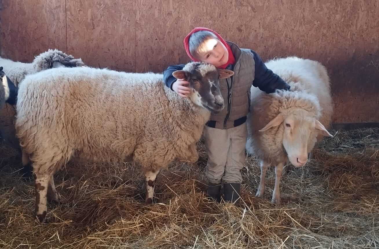 Achtsamland: Eine sinnvolle Geschenkidee für die Weihnachtszeit 🎄