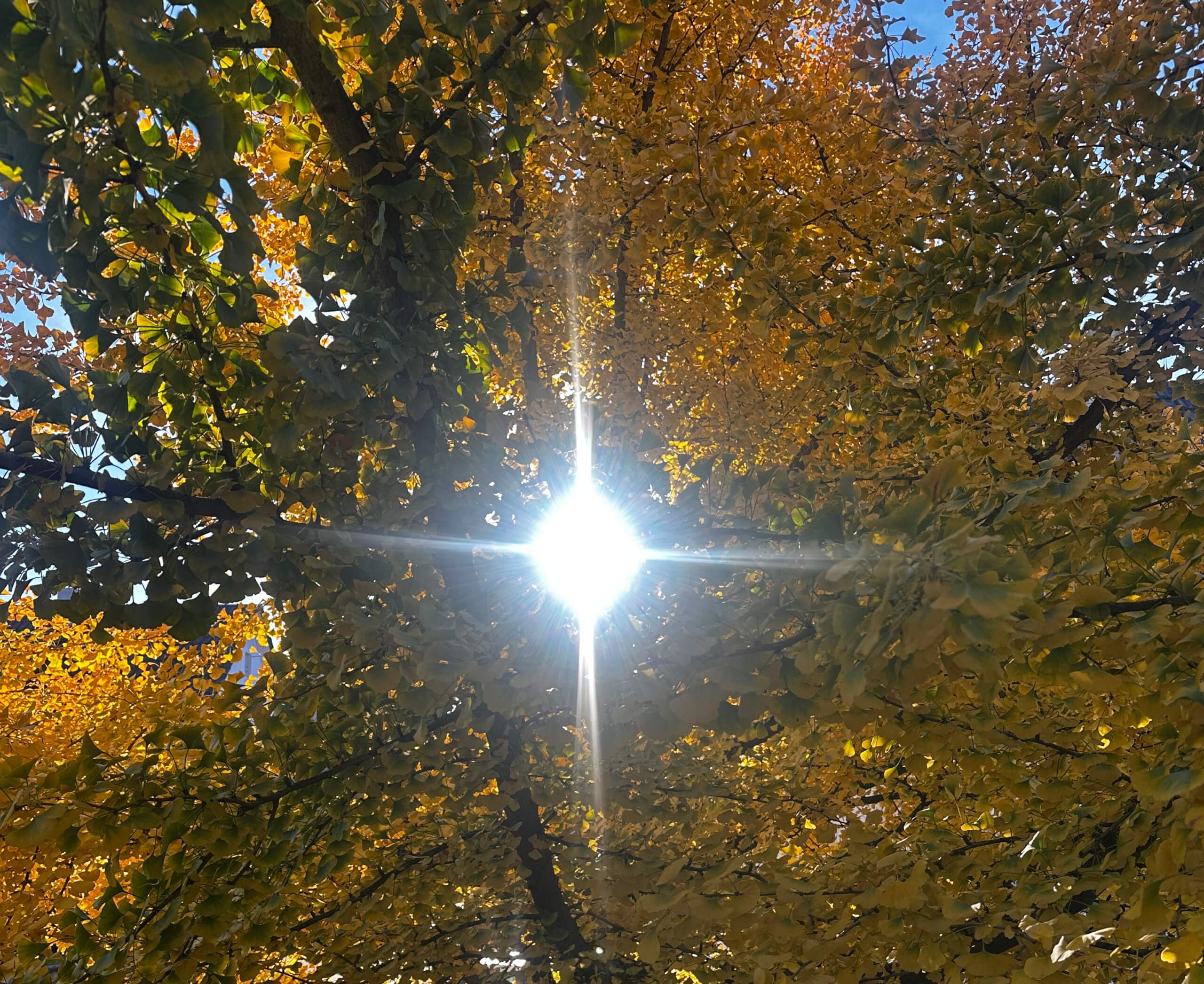 Warum Ziele oft nicht funktionieren – und was passiert, wenn du dein eigenes findest