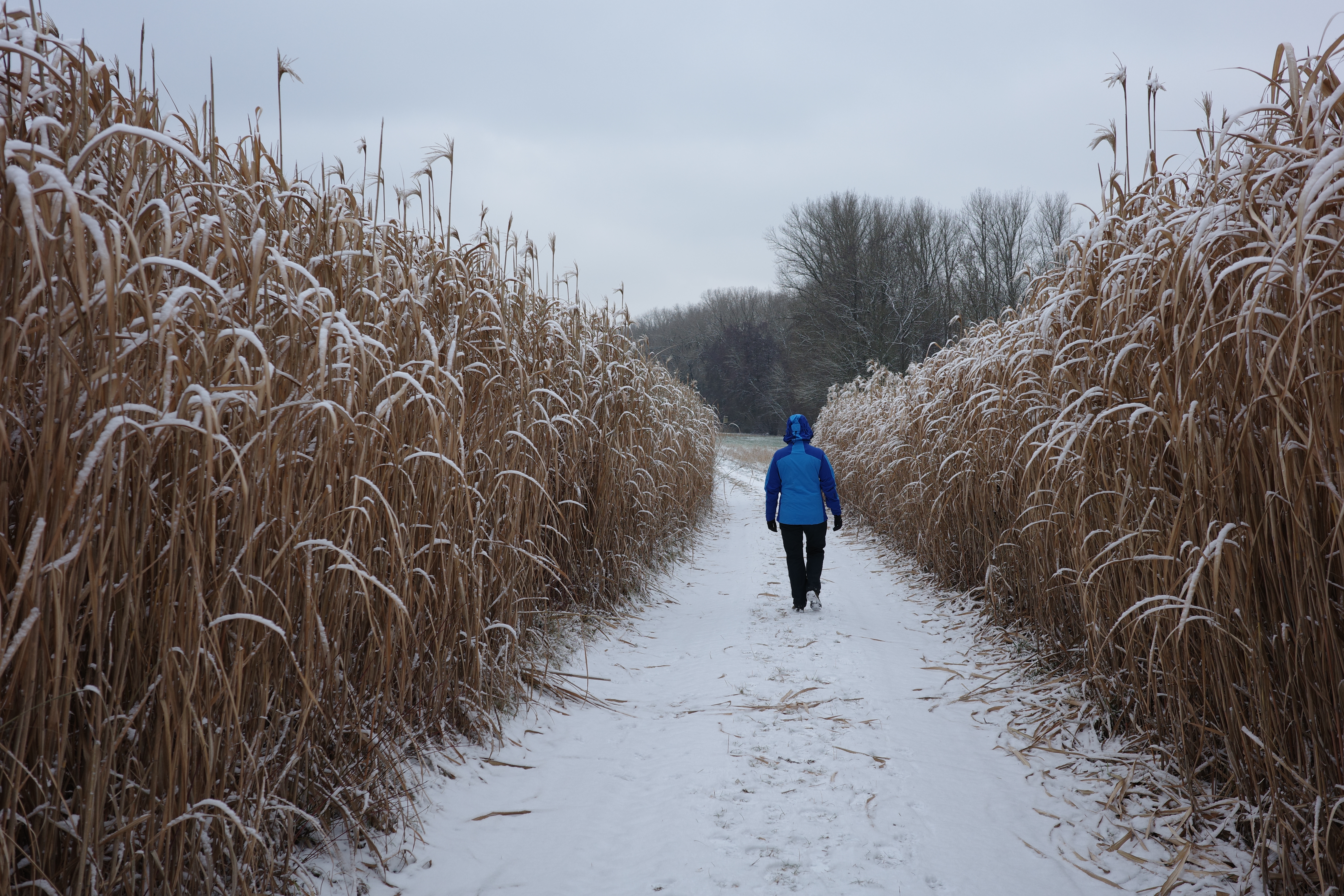 Melanie Klemm, Gründerin von ZukunftsPfad, auf Ihrem Weg