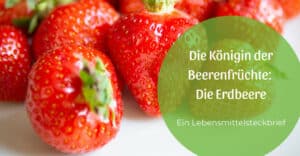 Die Königin der Beerenfrüchte – die Erdbeere