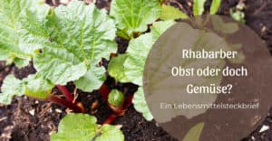 Rhabarber – Obst oder doch Gemüse?