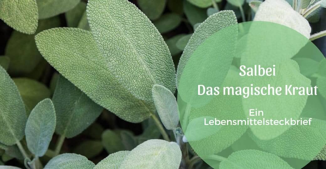 Salbei, das magische Kraut, nicht nur in der TCM