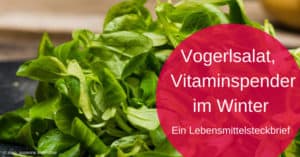 Vogerlsalat, ein Vitaminspender im Winter