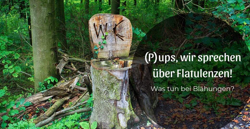 (P)ups, wir sprechen über Flatulenzen – was tun bei Blähungen