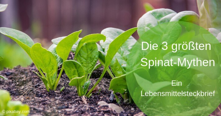 Die 3 größten Spinat-Mythen
