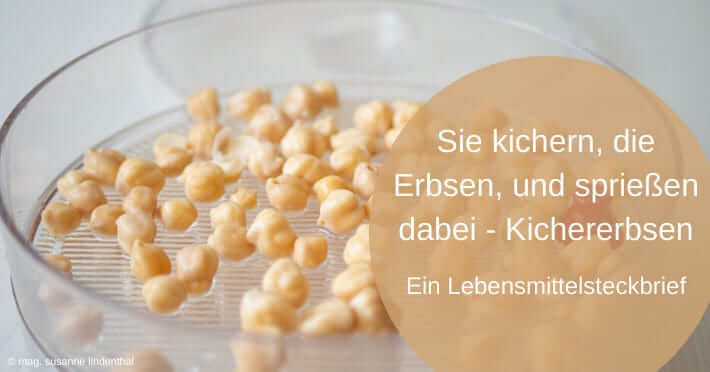Sie kichern, die Erbsen, und spriessen dabei – Kichererbsen