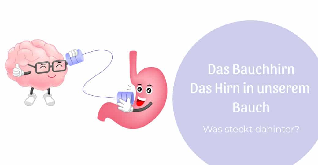 Das Bauchhirn, das Hirn in unserem Bauch
