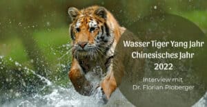Wasser Tiger Yang Jahr – Chinesisches Jahr 2022