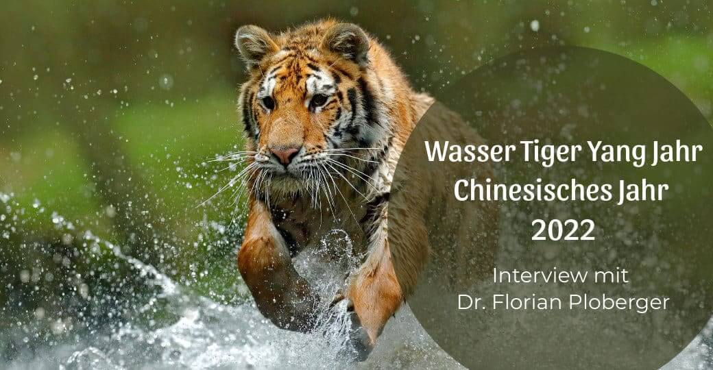 Wasser Tiger Yang Jahr – Chinesisches Jahr 2022