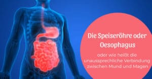 Oesophagus – oder wie heißt die unausprechliche Verbindung zwischen Mund und Magen?