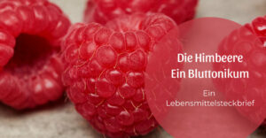 Die Himbeere, ein Bluttonikum