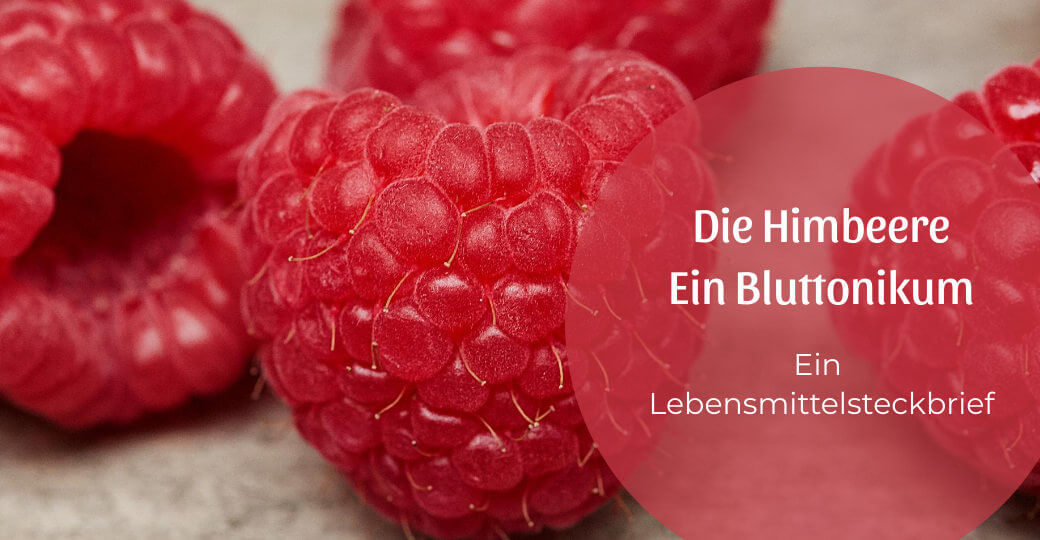 Die Himbeere, ein Bluttonikum