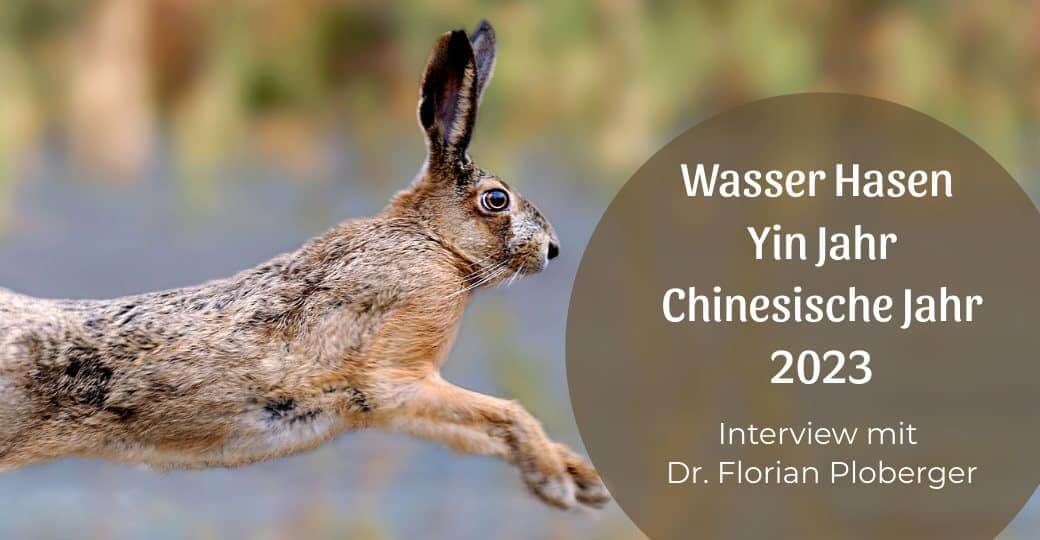 Wasser Hasen Yin Jahr – Chinesisches Jahr 2023