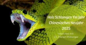 Das Holz Schlangen Yin Jahr – Chinesisches Neujahr 2025