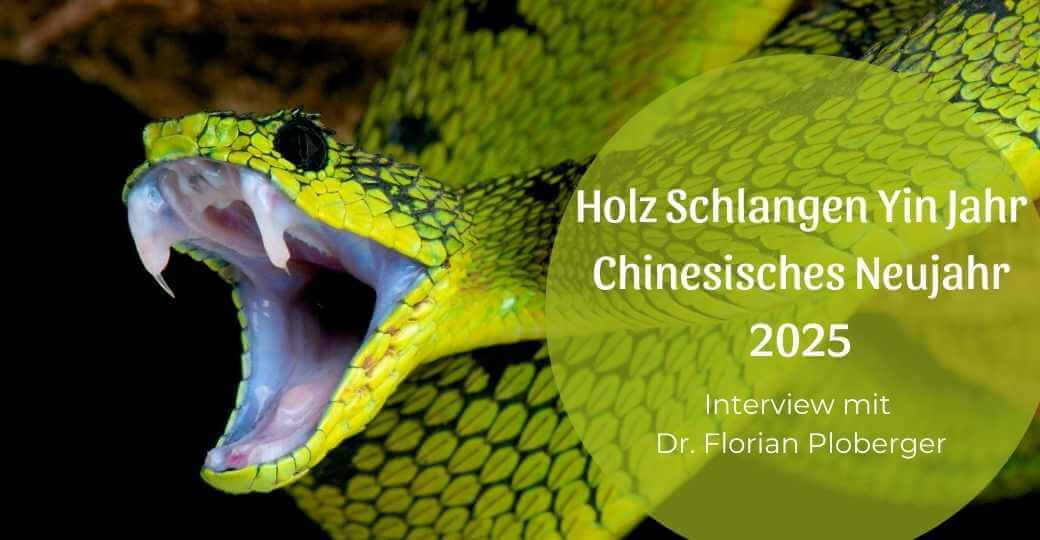 Das Holz Schlangen Yin Jahr – Chinesisches Neujahr 2025