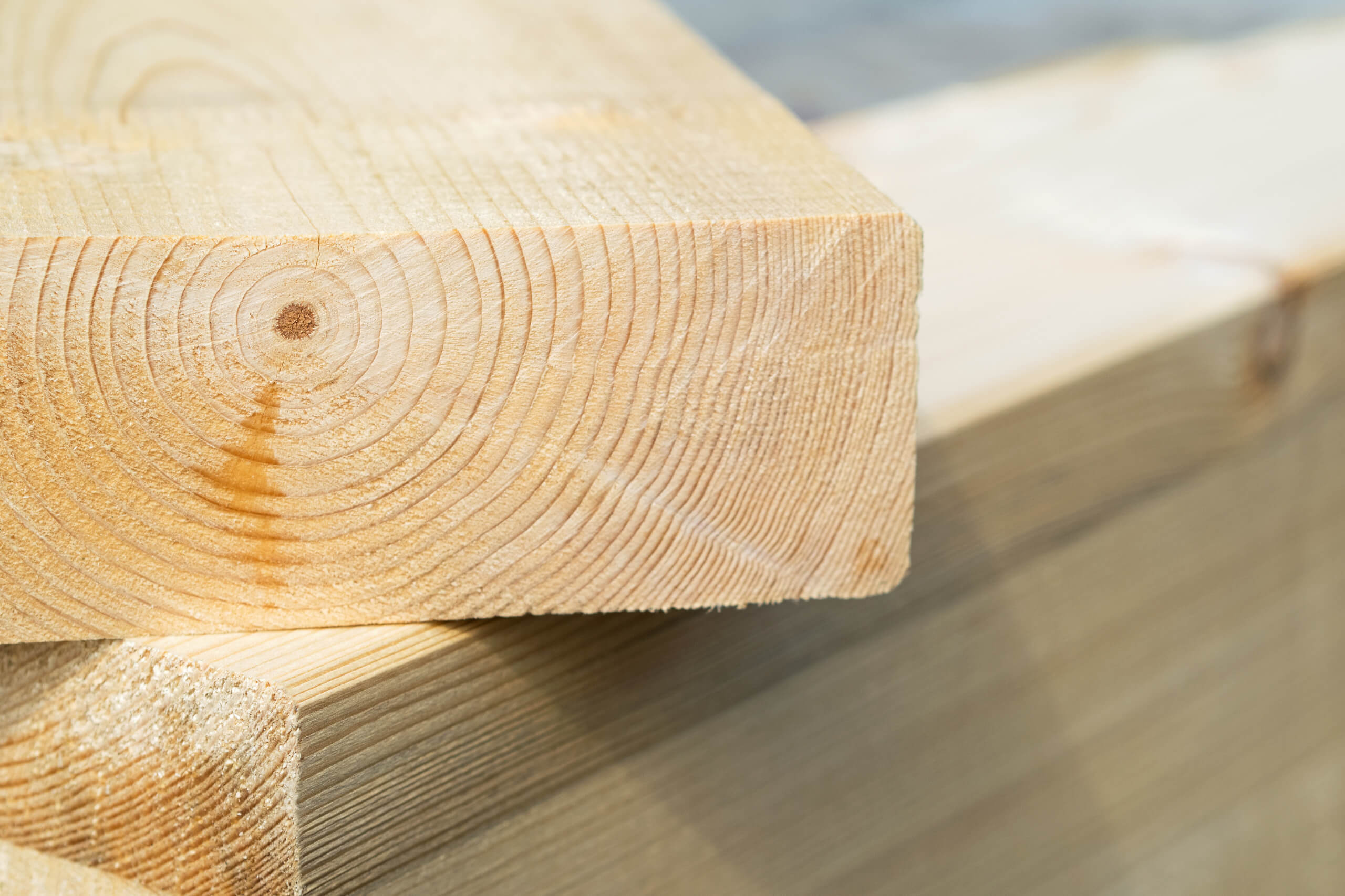Holzarten im Hausbau