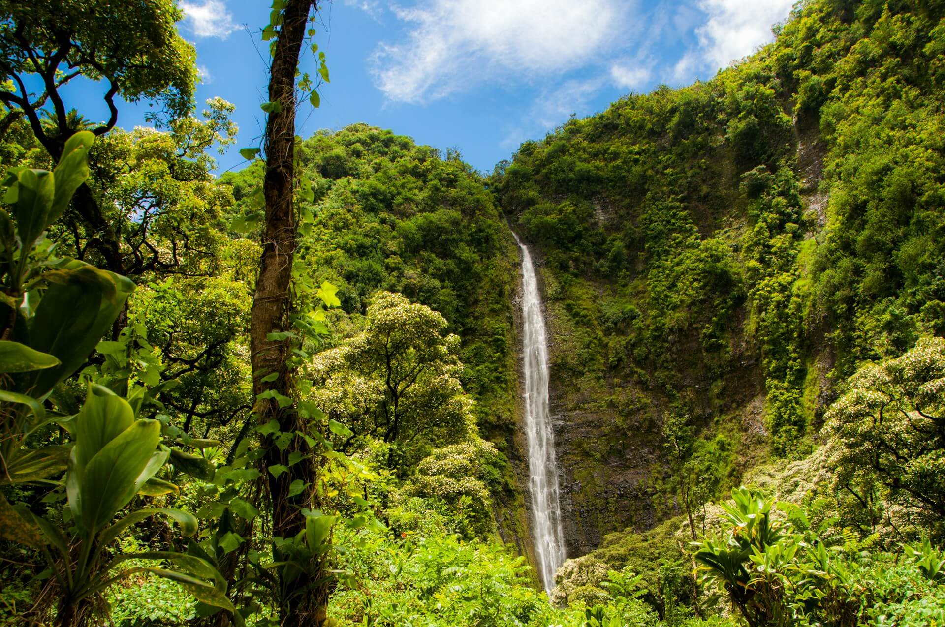 Water Purification: How you can make drinking water – simple, effective & reliable