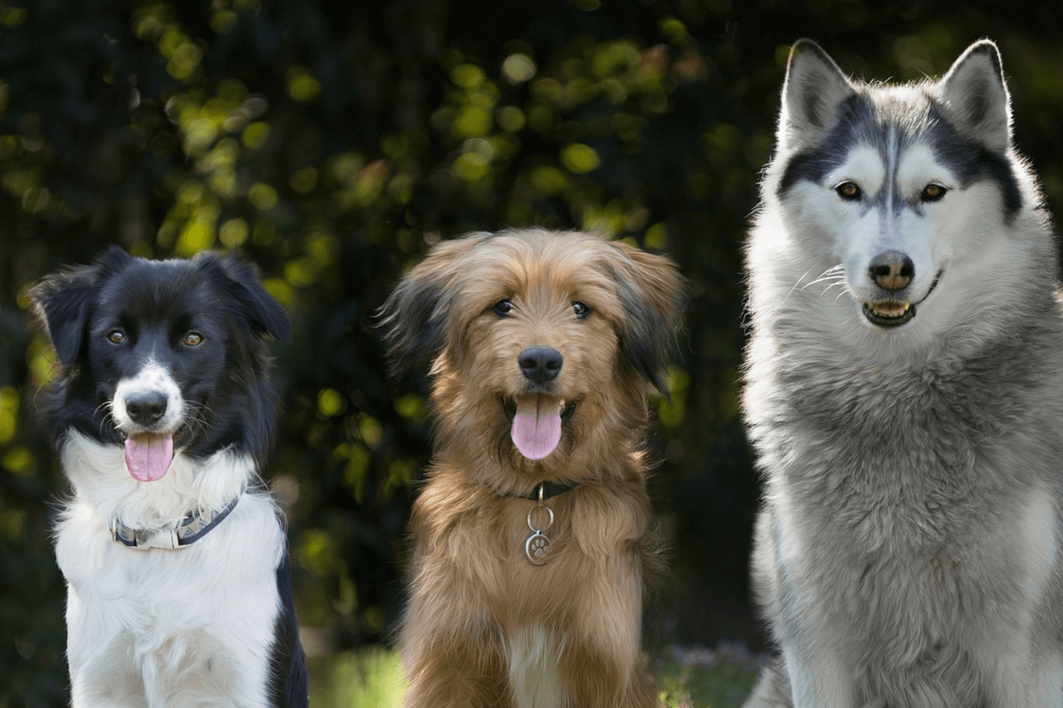 Social Walk: Impulskontrolle