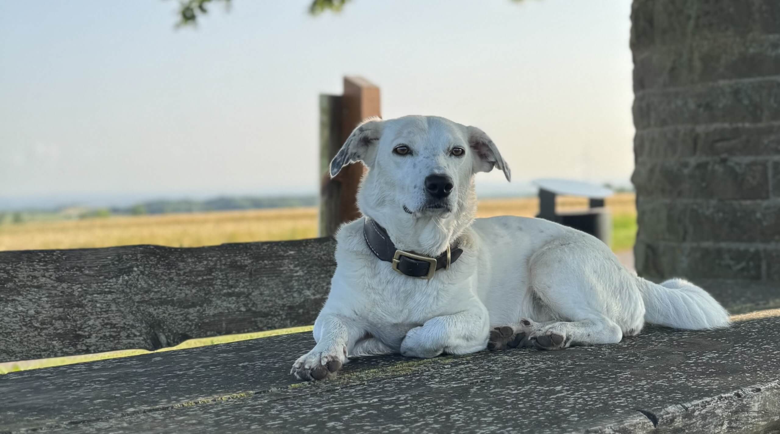 Gemeinsam in Verbindung, soziale Ansprache und Freifolge 