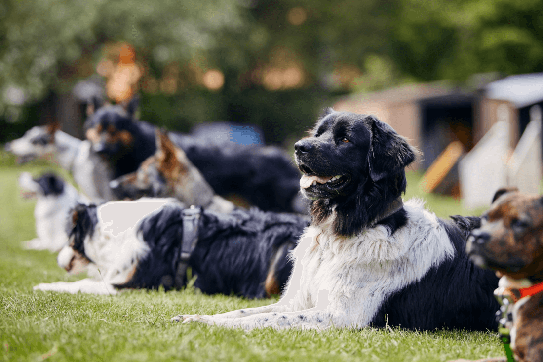  Social Walk Ruhe und Entschleunigung (4147 Aesch/CH)