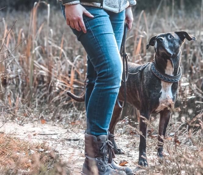 Hunde führen im Alltag (CH-Hünenberg) 