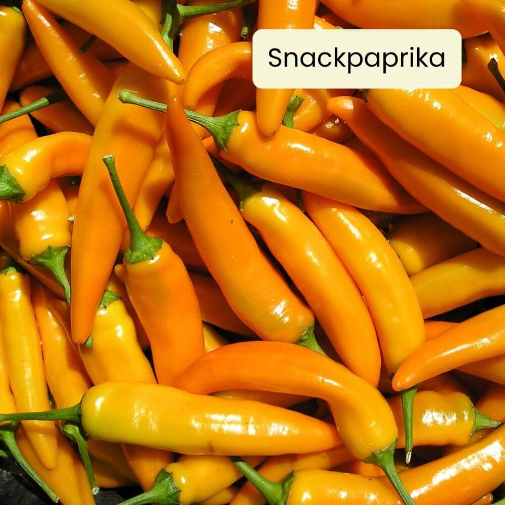 Foto Paprika Tequila Sunrise