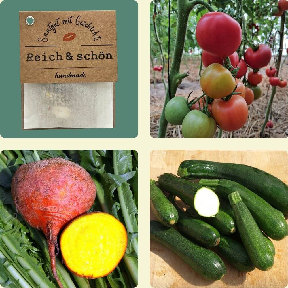 Foto mit den enthaltenen Sorten und Saatgut-Säckchen