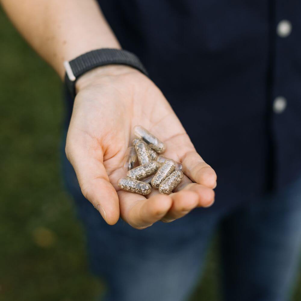Foto mit offener Hand, in der einige Saatgut-Kapseln liegen