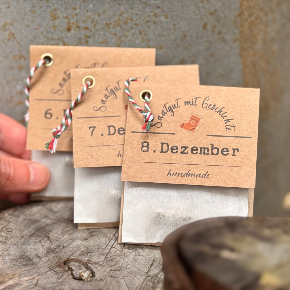 Foto mit einer Hand, die vor einer roten Wand drei Saatgut-Geschenkesets hält