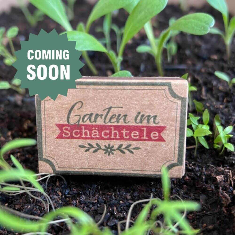 Foto der Garten-im-Schachtel- Streichholzbox