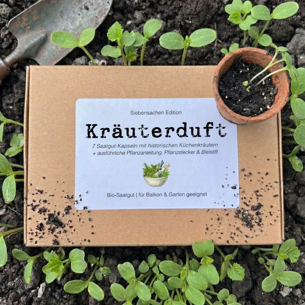 Foto des Saatgut-Sets 'Kräuterduft'
