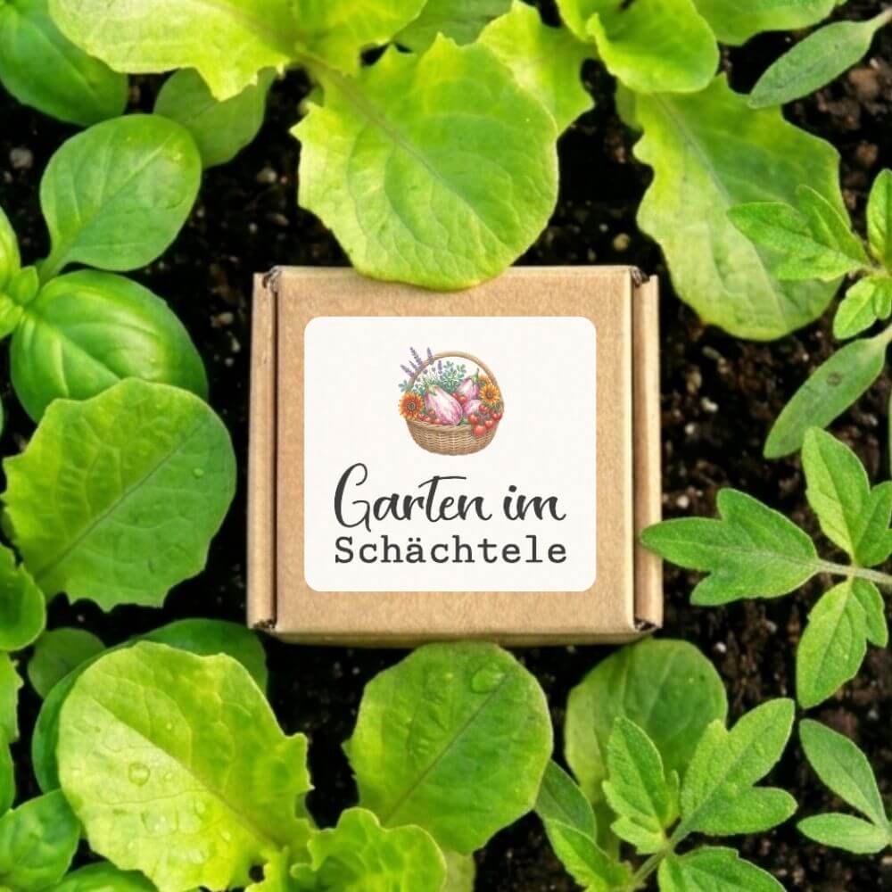 Foto von der Kraftkartonbox 'Garten im Schächtele' inmitten eines Beetes mit Setzlingen
