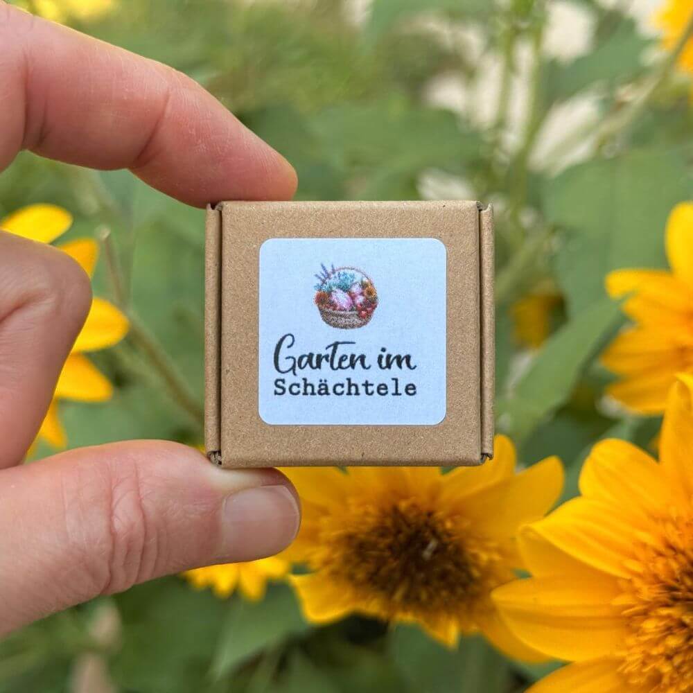 Garten im Schächtele