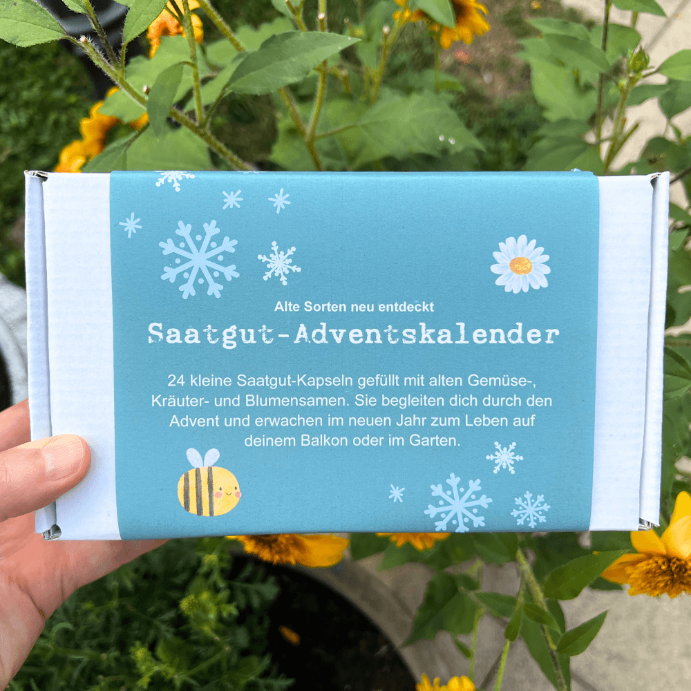 Saatkapsel-Adventskalender