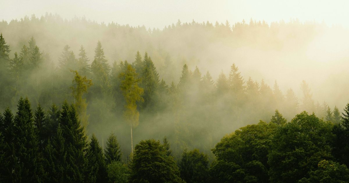 Warum es sinnvoll ist, psychische Belastungen früh ernst zu nehmen