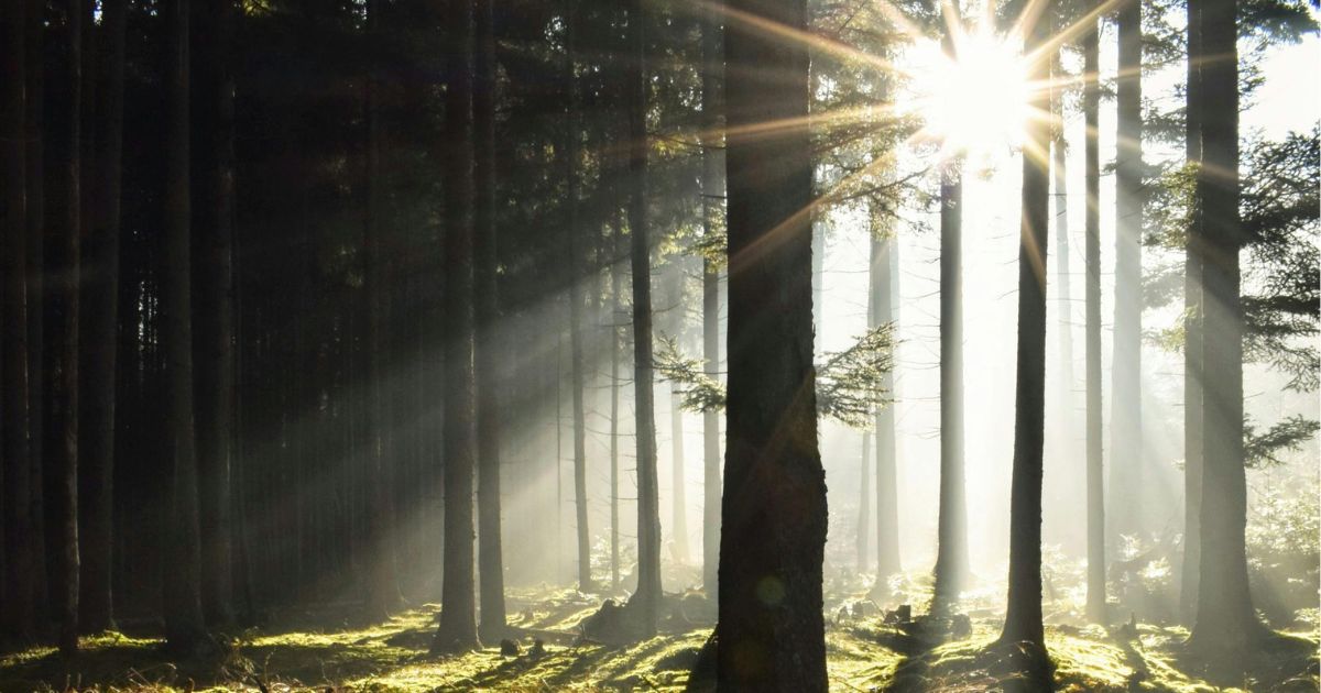 Psychotherapie verstehen – Was dich erwartet