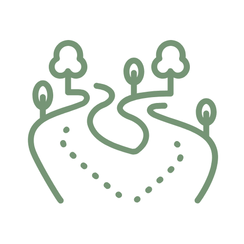 Illustration eines Weges mit Abzweigungen als Symbol für Veränderung