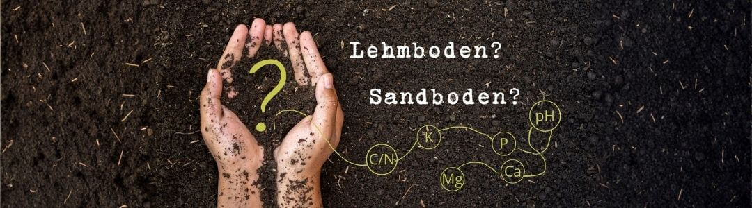 barbara rainer blog boden 1