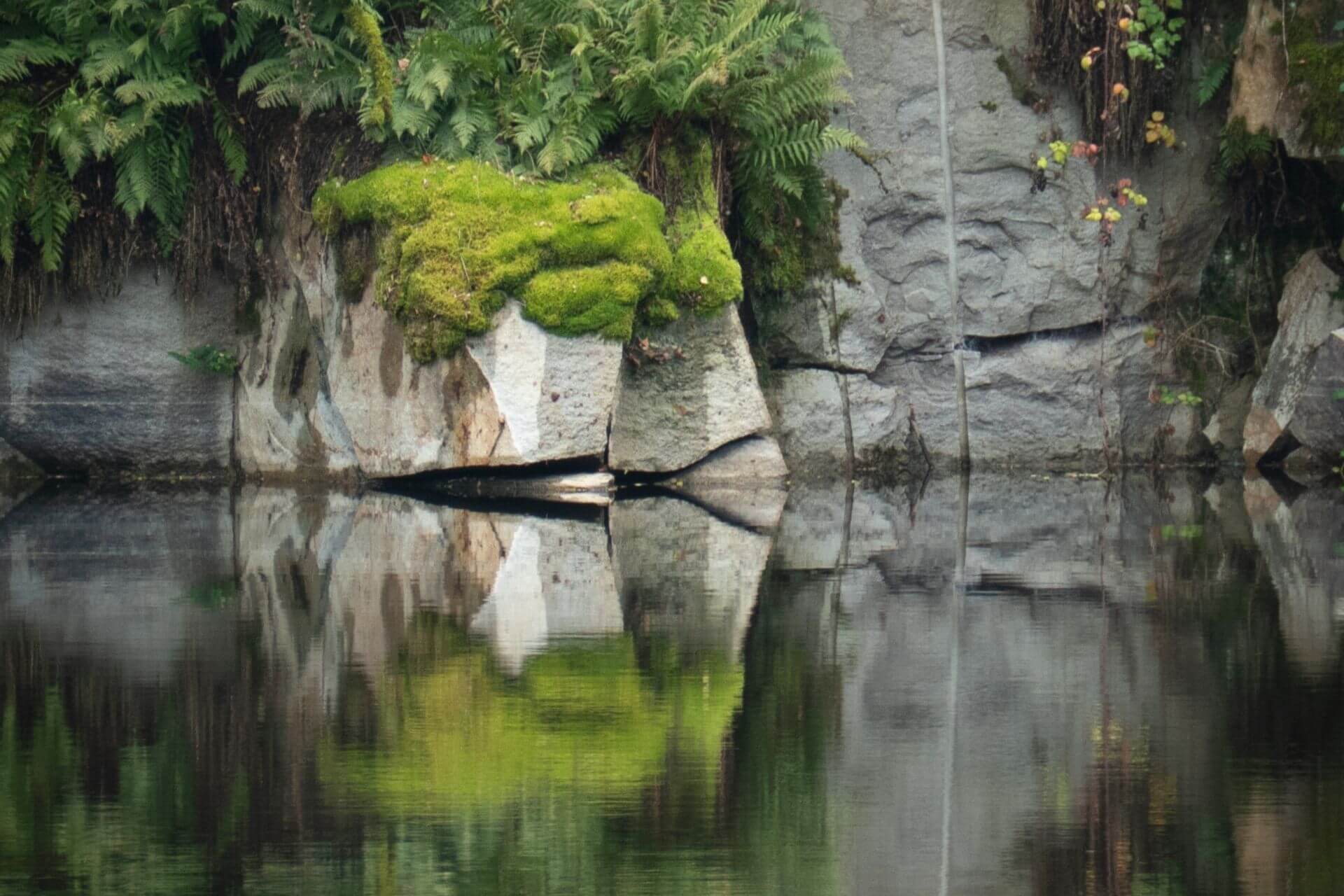 barbara rainer genius loci blog 1