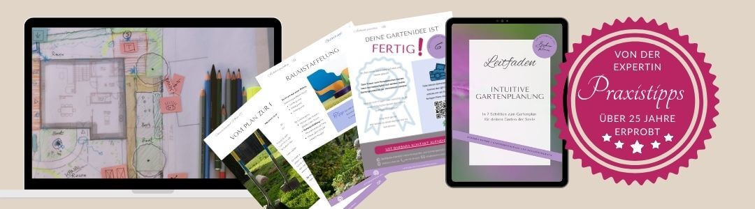 barbara rainer genius loci blog 4