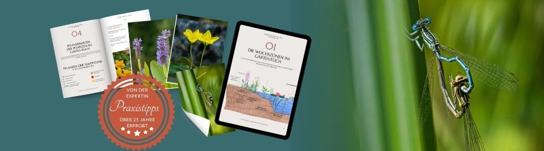 barbara rainer gartenteich workbook 2