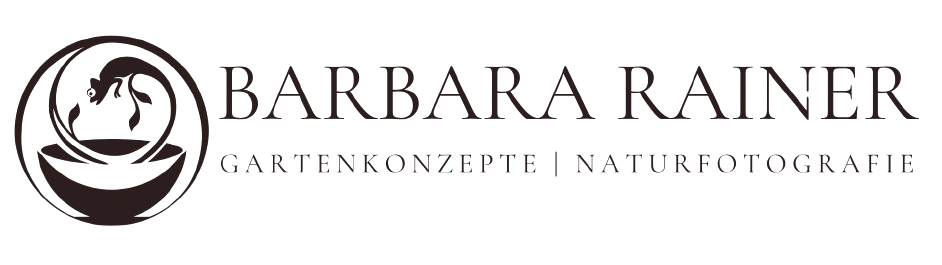 Barbara Rainer