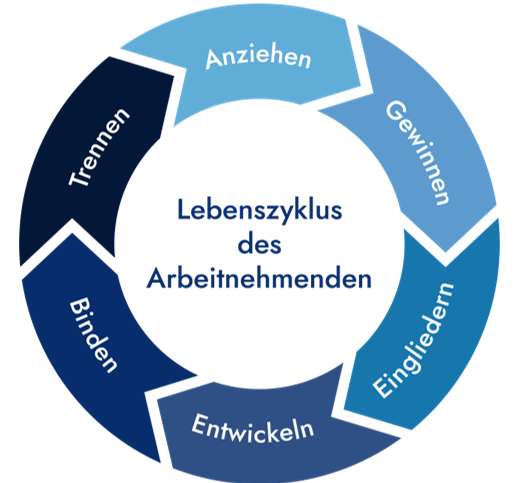 strategisches Employer Branding als Kreislauf denken