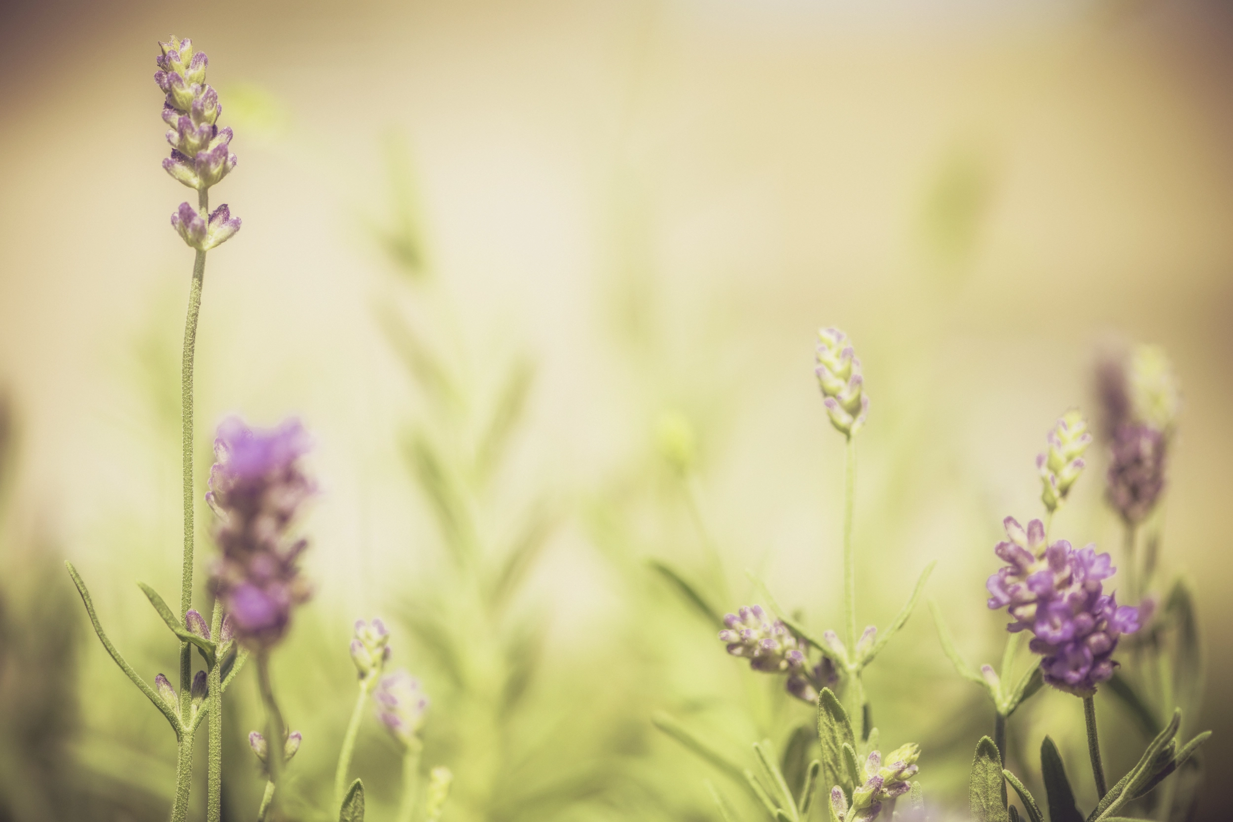 Der Atem als Eingangstor in die Stille des Bewusstseins