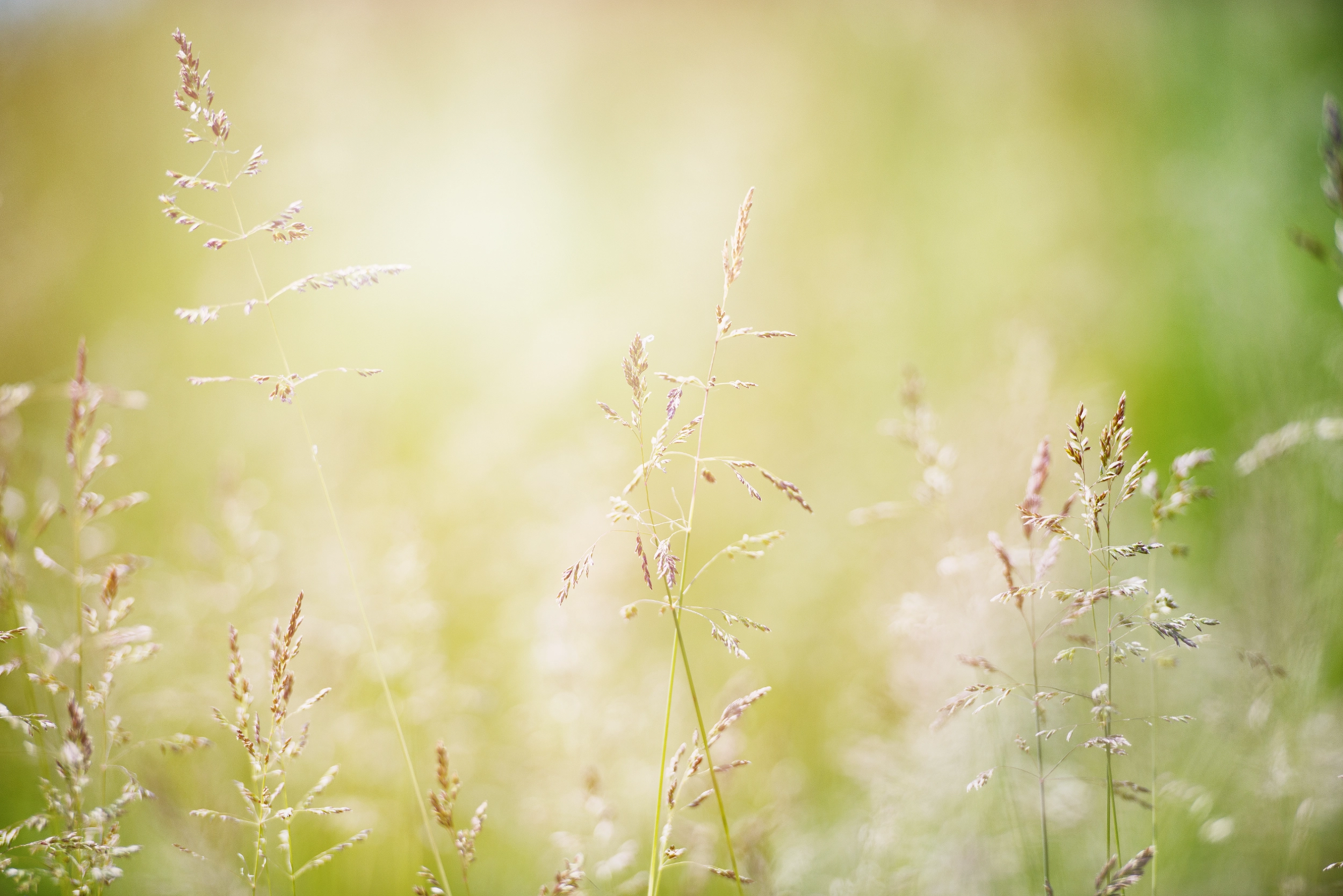 Spirituelle Körperpsychotherapie und Mentoring