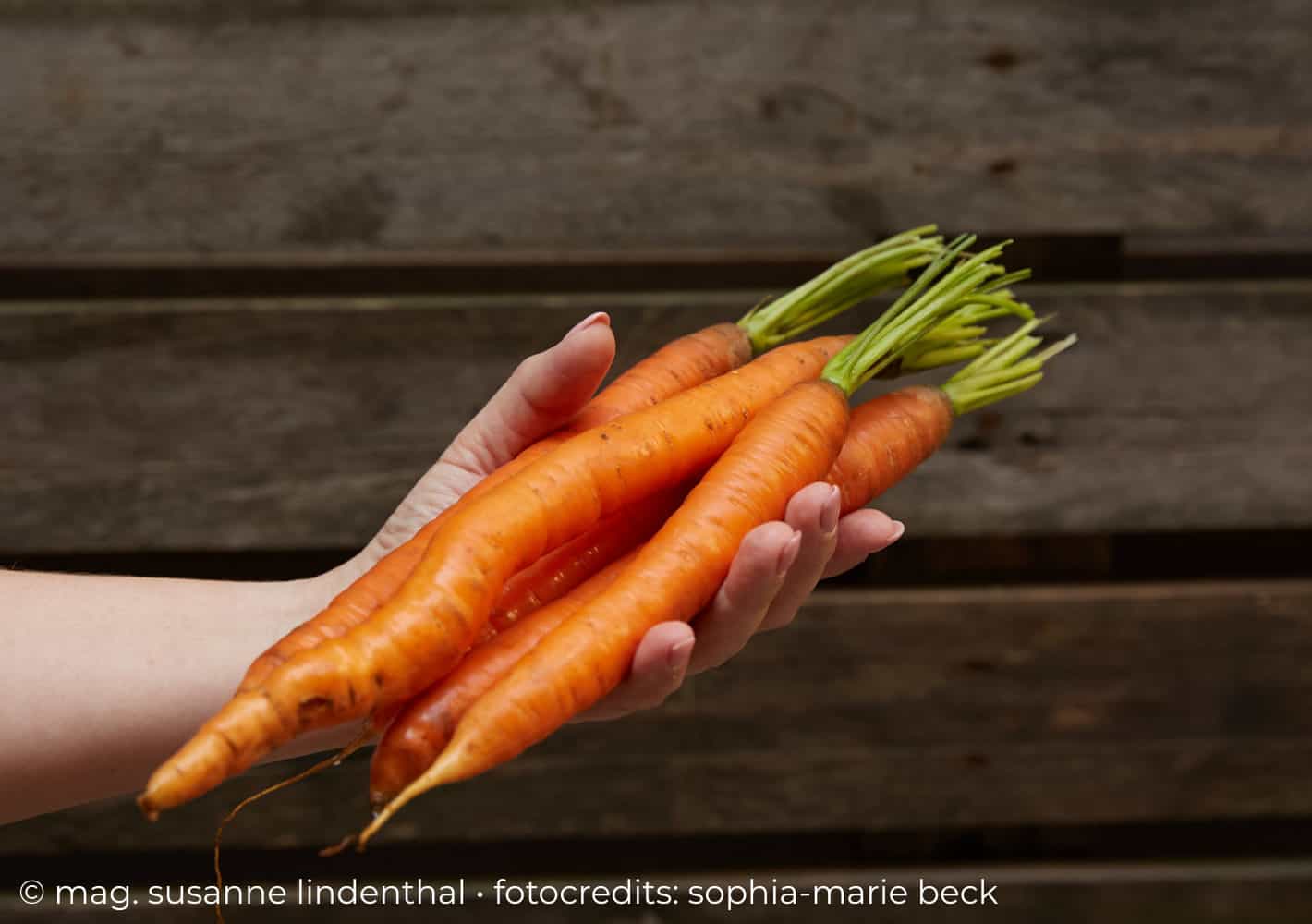 20230802 Karotten in meiner Hand