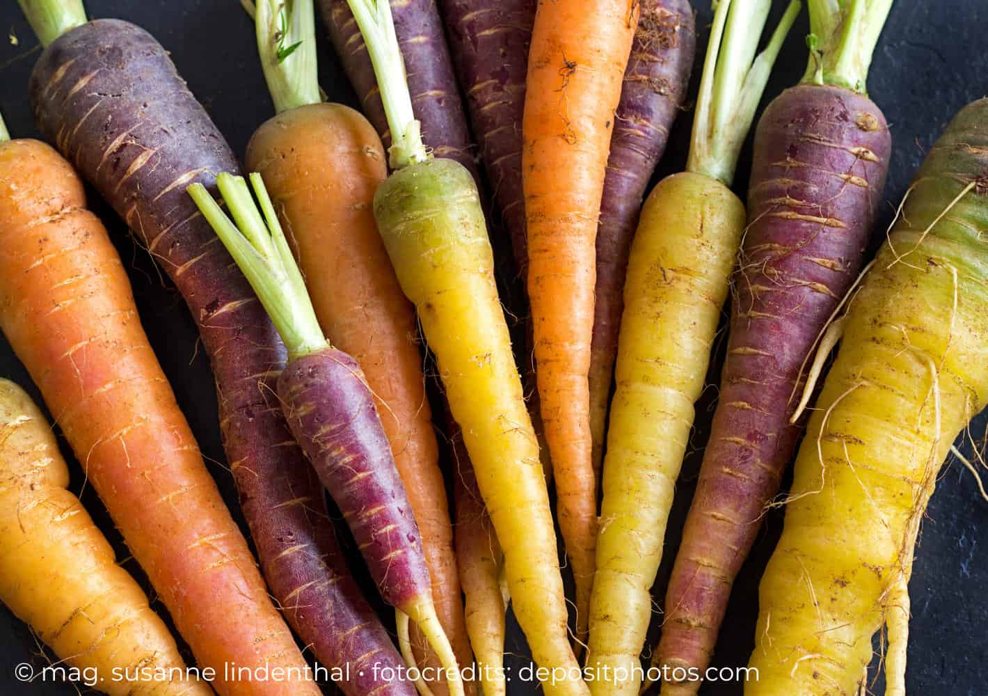 20230802 lila gelbe und orange Karotten
