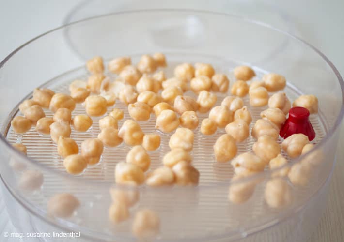 20200513 Kichererbsen keimen Tag1