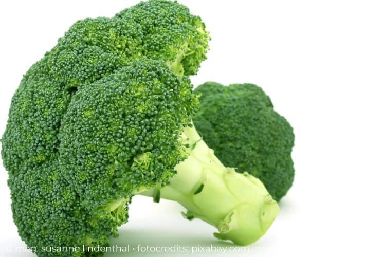 20210804 Laktoseintoleranz Brokkoli Calciumlieferant