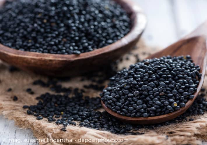 20230214 Beluga Linsen